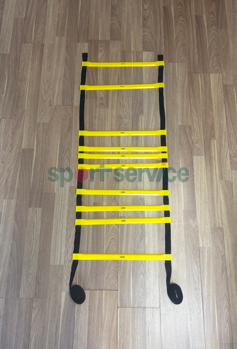 Agility treeningredel