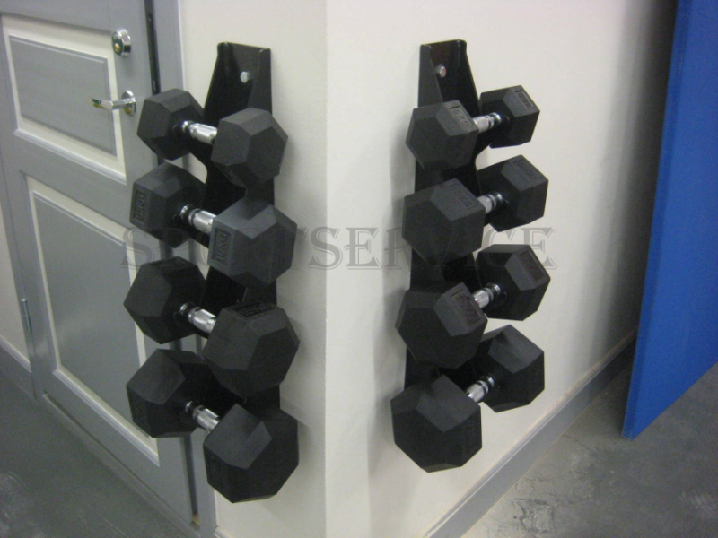 Dumbbell holder for the wall