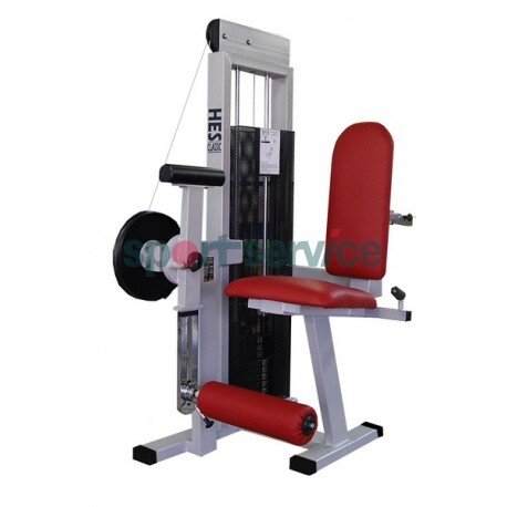 A2FSZ Seated Leg Curl