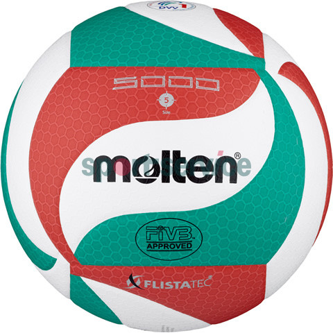 Волейбольный мяч для соревнований Molten 5000, No.5