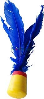 Indiaca